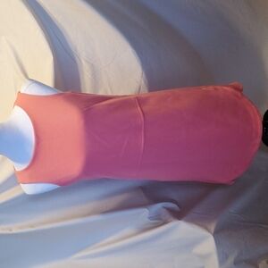 Anne Taylor Shift Dress SZ 4P